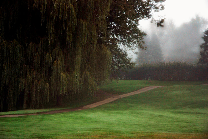 Matin de brouillard...