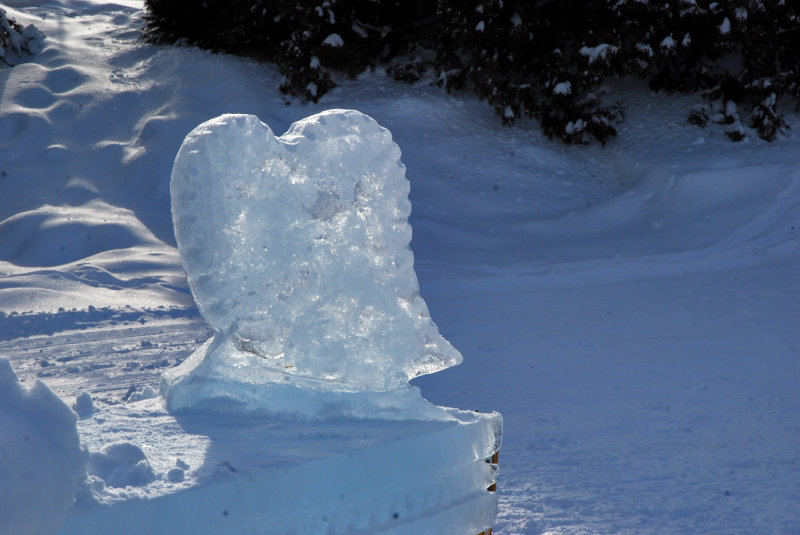 L'hiver dernier