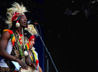 Flamboyants leurs costumes traditionnels