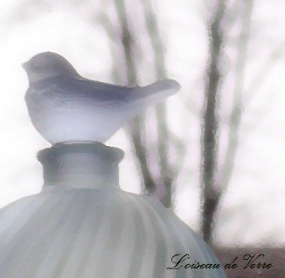 L'oiseau de Verre