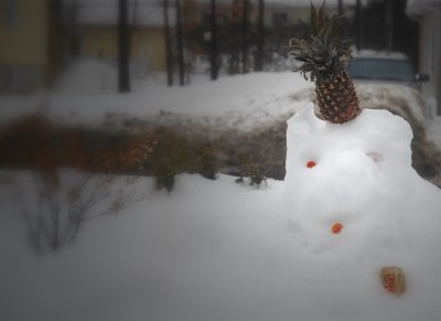 Le bonhomme de neige exotique...