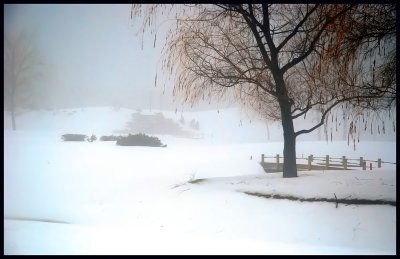 Sous une pluie de brume...