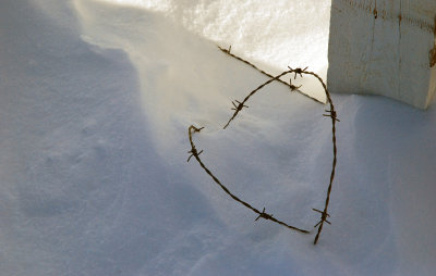 Le coeur de l'hiver...bis