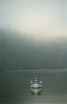In a Misty Cove