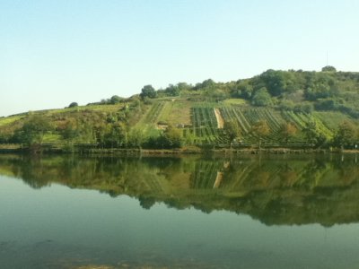 along_the_mosel