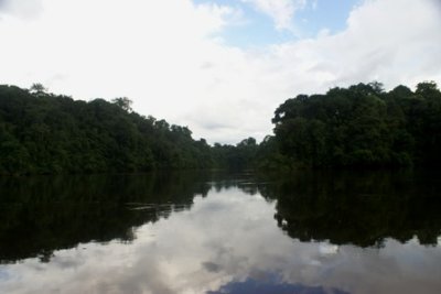 Suriname 8.jpg