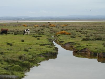 Near Burgh on Sands