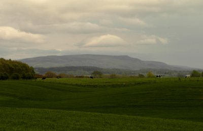 Near Bleatern