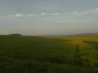 Grindon