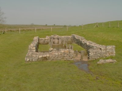 Brocilita