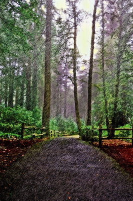 road_tree_DPR_art.jpg