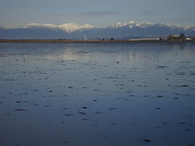 Boundary Bay northside view