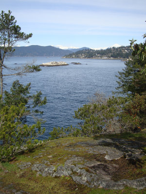 Lighthouse Park