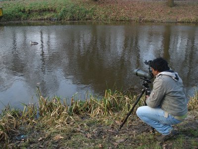 Me & Red-throated Diver