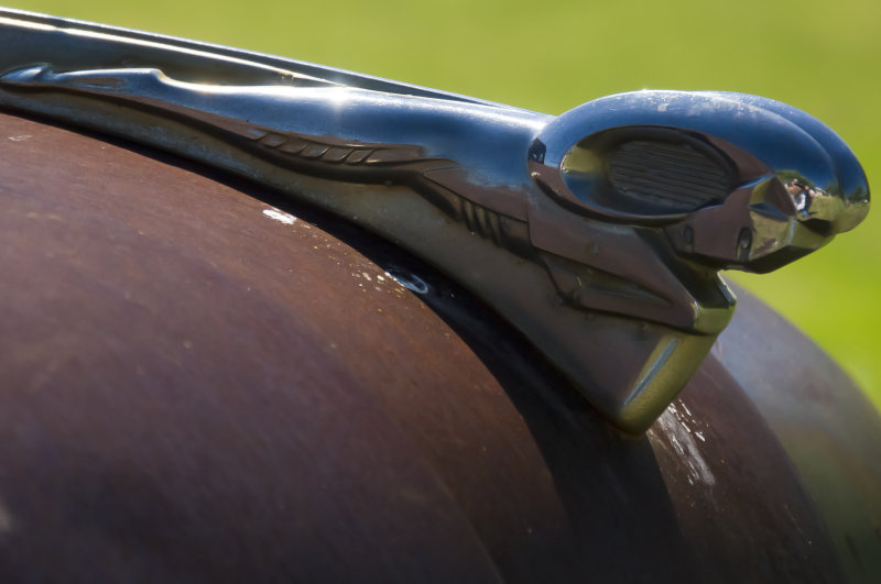 Dodge hood ornament