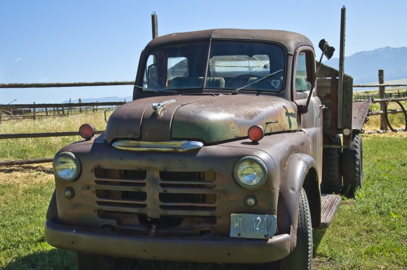 Dodge