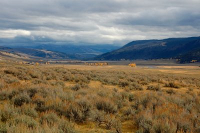 Yellowstone National Park