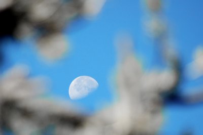 Moon