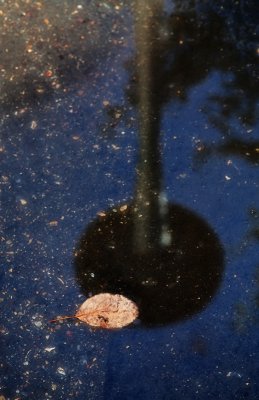 20111001-Photowalk001.jpg