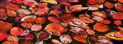 20111001-Photowalk012.jpg
