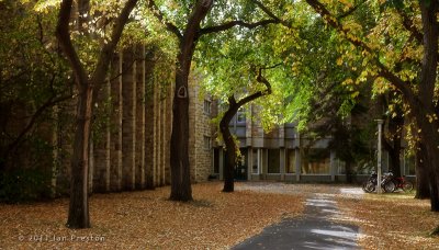 20111001-Photowalk014.jpg
