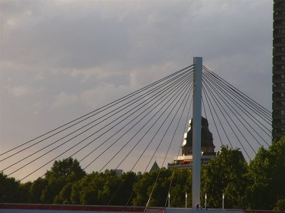 P1250314.JPG