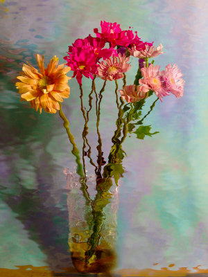 Flower Reflections