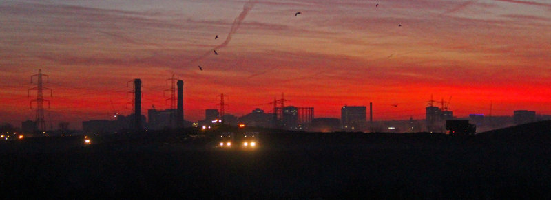 Dawn at Beddington Farmlands