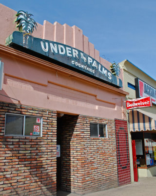 Under Palms
