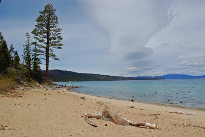 Tahoe beach