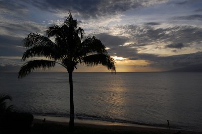 Maui afternoon