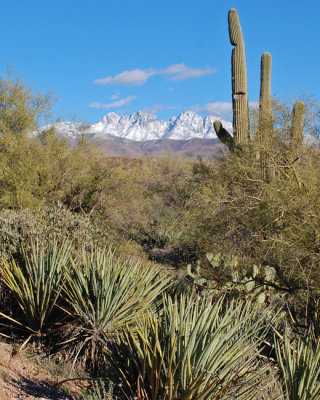 Four Peaks