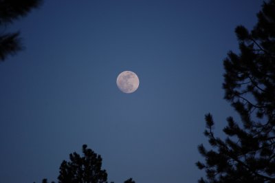 One night from the Super Moon