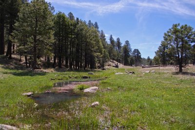 Hart Creek
