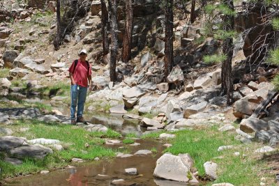 Hike along the creek