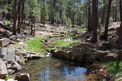 Hart Creek