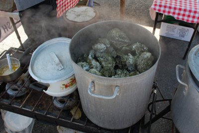 Oysters!