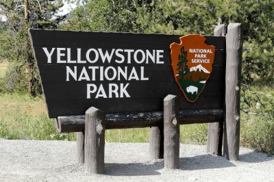 Yellowstones
