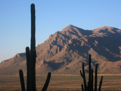 Picacho Mountains and Newman Peak across the street