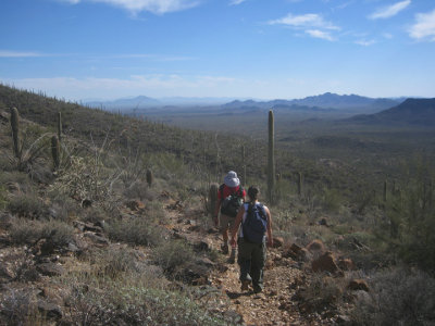 Trail vista