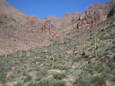 End of our hike about a mile upstream of the Hieroglyphic pond