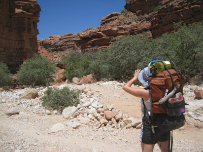 Bre's first backpack trip and first visit to Havasupai