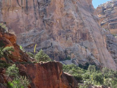 Keep the Canyon Hot cliffs