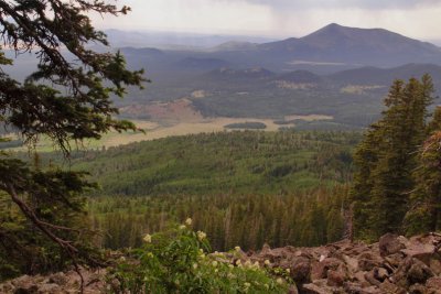 Humphrey's Peak Hike