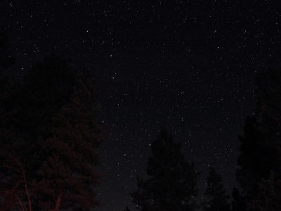 g4/90/930890/3/137322993.WxoxzTUW.jpg