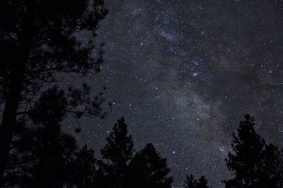 Summer Milky Way
