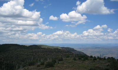 Panorama from firetower