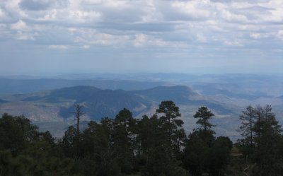 Another panorama from firetower