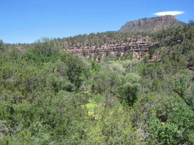 Fossil Creek