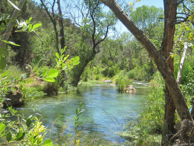 Rope swing pond